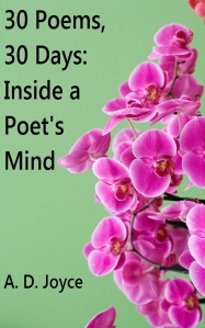Ebook: 30 Poems, 30 Days: Inside a Poet's Mind